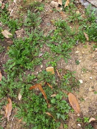 성낙신 님의 자유주제 · 자유게시판 작성글 사진