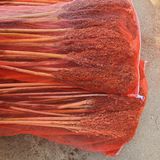 팜모닝 11월 내 작물 자랑하기·참여글 게시글 이미지