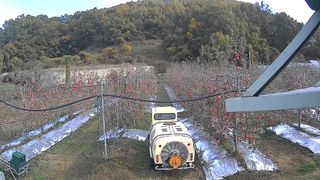 심영진님의 사과 · 일상 작성글 사진