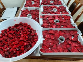 초보농부님의 자두 · 자유게시판 작성글 사진