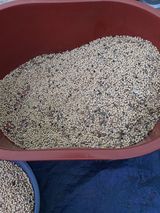 팜모닝 콩·자유게시판 게시글 이미지