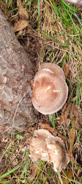 김정은님의 11월 내 작물 자랑하기 · 참여글 작성글 사진