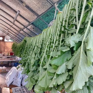 정길영님의 기타작물 · 자유게시판 작성글 사진