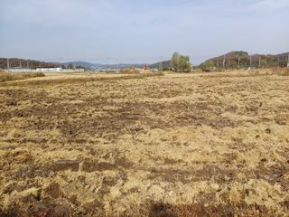 한재승님의 벼 · 영농일지 작성글 사진