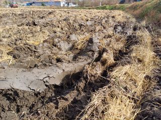 한재승님의 벼 · 영농일지 작성글 사진