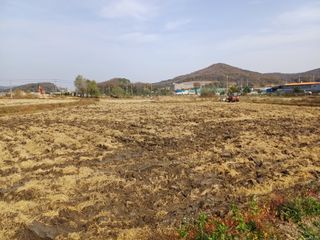 한재승님의 벼 · 영농일지 작성글 사진