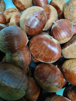 믿고사는농원-송미경님의 자유주제 · 자유게시판 작성글 사진