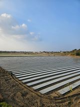 팜모닝 11월 내 작물 자랑하기·참여글 게시글 이미지