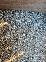 팜모닝 · 게시글 이미지