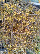 팜모닝 자유주제·자유게시판 게시글 이미지