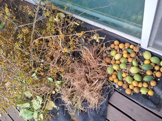 이현상님의 자유주제 · 자유게시판 작성글 사진