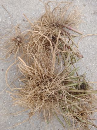 이현상님의 자유주제 · 자유게시판 작성글 사진