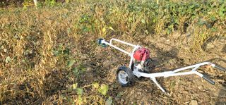 신승철님의 콩 · 영농일지 작성글 사진