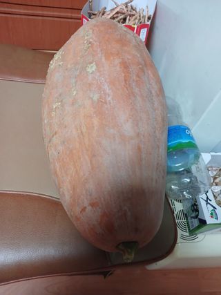 강성흔목사 님의 11월 내 작물 자랑하기 · 참여글 작성글 사진