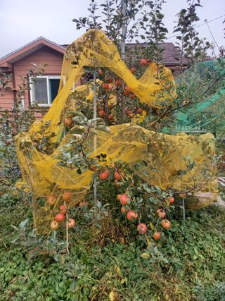 땅땅님의 사과 · 일상 작성글 사진