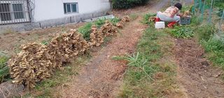 최용운님의 기타작물 · 자유게시판 작성글 사진