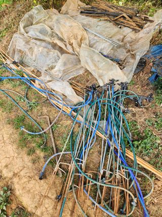 김저팔계님의 기타작물 · 영농일지 작성글 사진