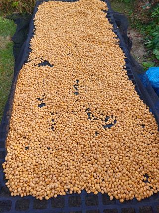 삼성농산님의 자유주제 · 자유게시판 작성글 사진