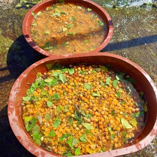 삼성농산님의 자유주제 · 자유게시판 작성글 사진