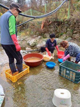 삼성농산님의 자유주제 · 자유게시판 작성글 사진