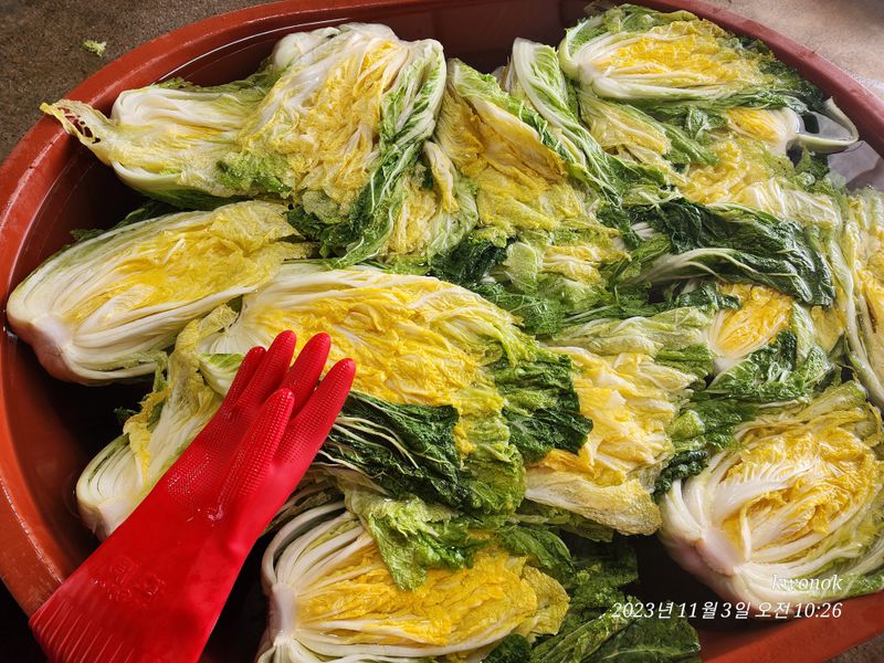 정권옥님의 장터 판매 상품 [항암절임배추요.] 첨부 사진