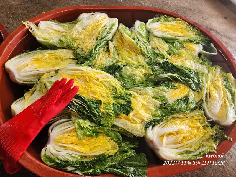 정권옥님의 장터 판매 상품 [항암절임배추요.] 첨부 사진