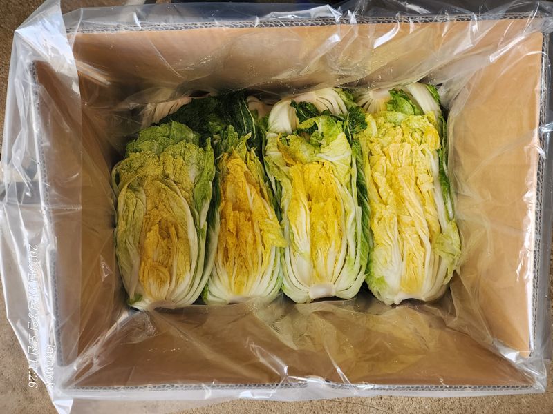 정권옥님의 장터 판매 상품 [항암절임배추요.] 첨부 사진