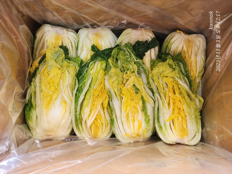 정권옥님의 장터 판매 상품 [항암절임배추요.] 첨부 사진
