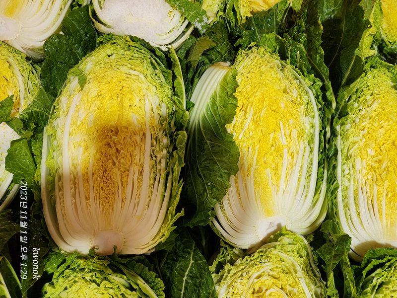 정권옥님의 장터 판매 상품 [항암절임배추요.] 첨부 사진