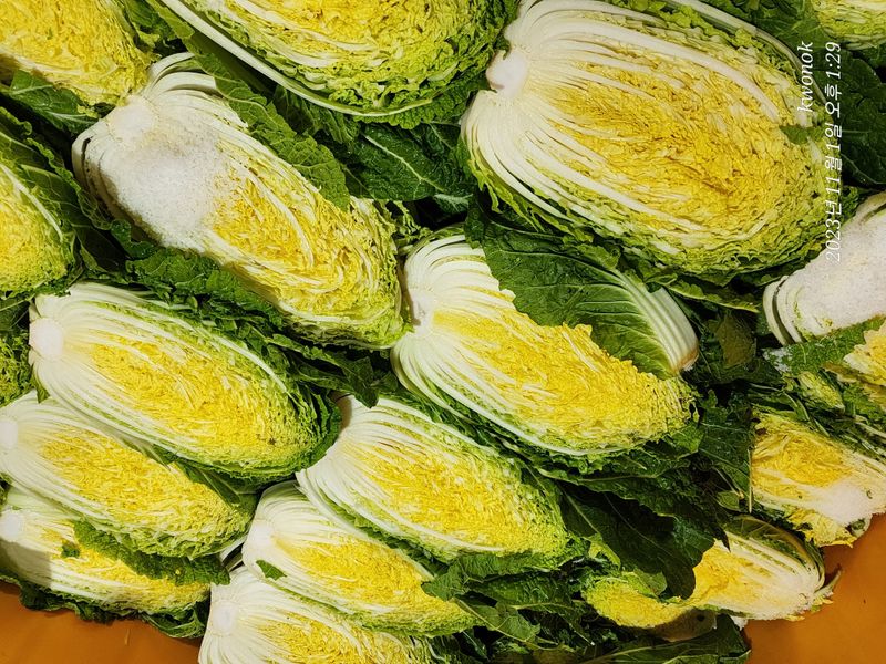 정권옥님의 장터 판매 상품 [항암절임배추요.] 첨부 사진