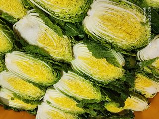 오마니농장님의 작성글 사진