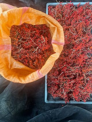 백작약님의 작성글 사진