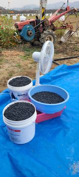 팜모닝 11월 내 작물 자랑하기·참여글 게시글 이미지