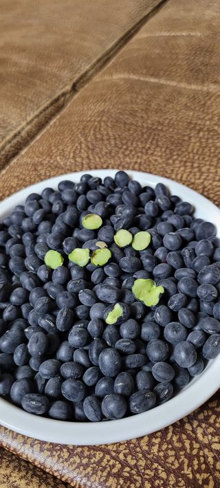 살구15128님의 11월 내 작물 자랑하기 · 참여글 작성글 사진