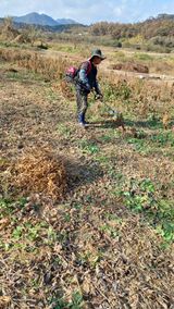 팜모닝 11월 내 작물 자랑하기·참여글 게시글 이미지