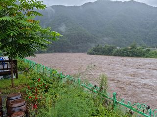 김선자님의 양파 · 자유게시판 작성글 사진