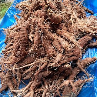 장은주님의 자유주제 · 자유게시판 작성글 사진