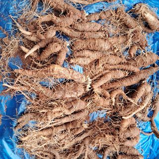 장은주님의 자유주제 · 자유게시판 작성글 사진