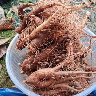 장은주님의 자유주제 · 자유게시판 작성글 사진