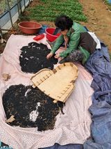 팜모닝 콩·자유게시판 게시글 이미지