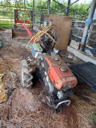 팜모닝회원 김광수님의 작성글 사진