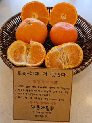선물차롱님의 귤 · 일상 작성글 사진