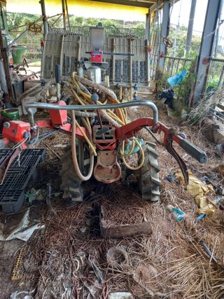 팜모닝회원 김광수님의 작성글 사진