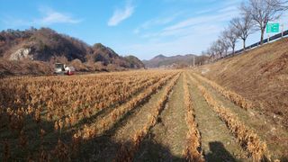 박진하님의 11월 내 작물 자랑하기 · 참여글 작성글 사진