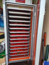 팜모닝 고추·수확 게시글 이미지