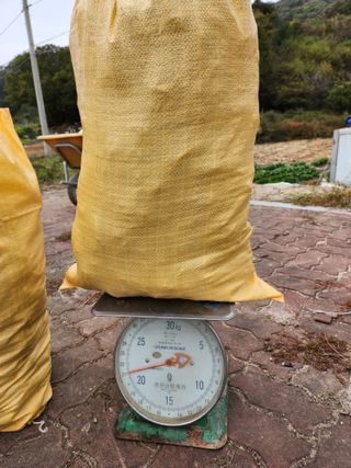 약도라지6018님의 11월 내 작물 자랑하기 · 참여글 작성글 사진