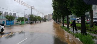 박재석님의 팜모닝 · 출석 작성글 사진