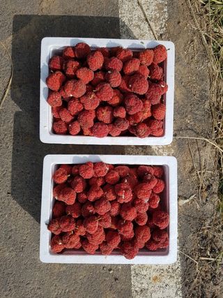 이형규님의 기타작물 · 자유게시판 작성글 사진