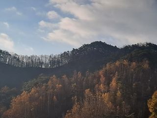 한명희님의 장터이야기 · 자유게시판 작성글 사진