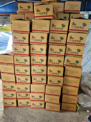 준영농장 출석왕.님의 11월 내 작물 자랑하기 · 참여글 작성글 사진